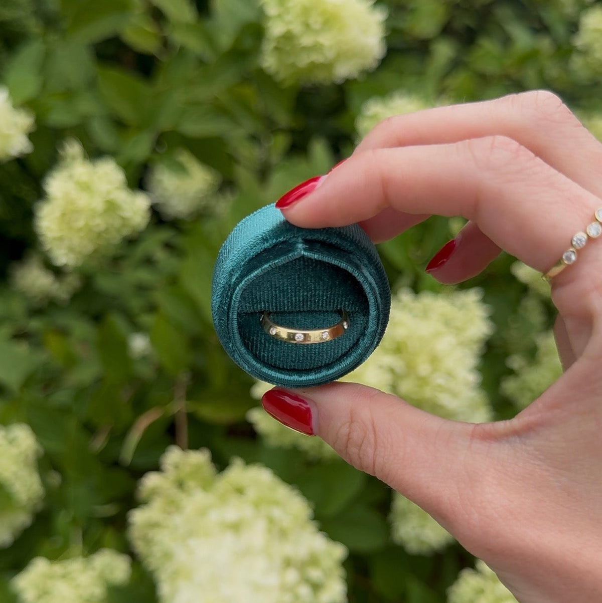 Asymmetrical eternity band