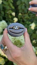Patty Signature Ring